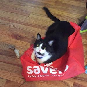 DAWS Danbury Animal Welfare Society