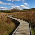 Appalachian Trail Boardwalk