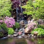 Anderson Japanese Gardens