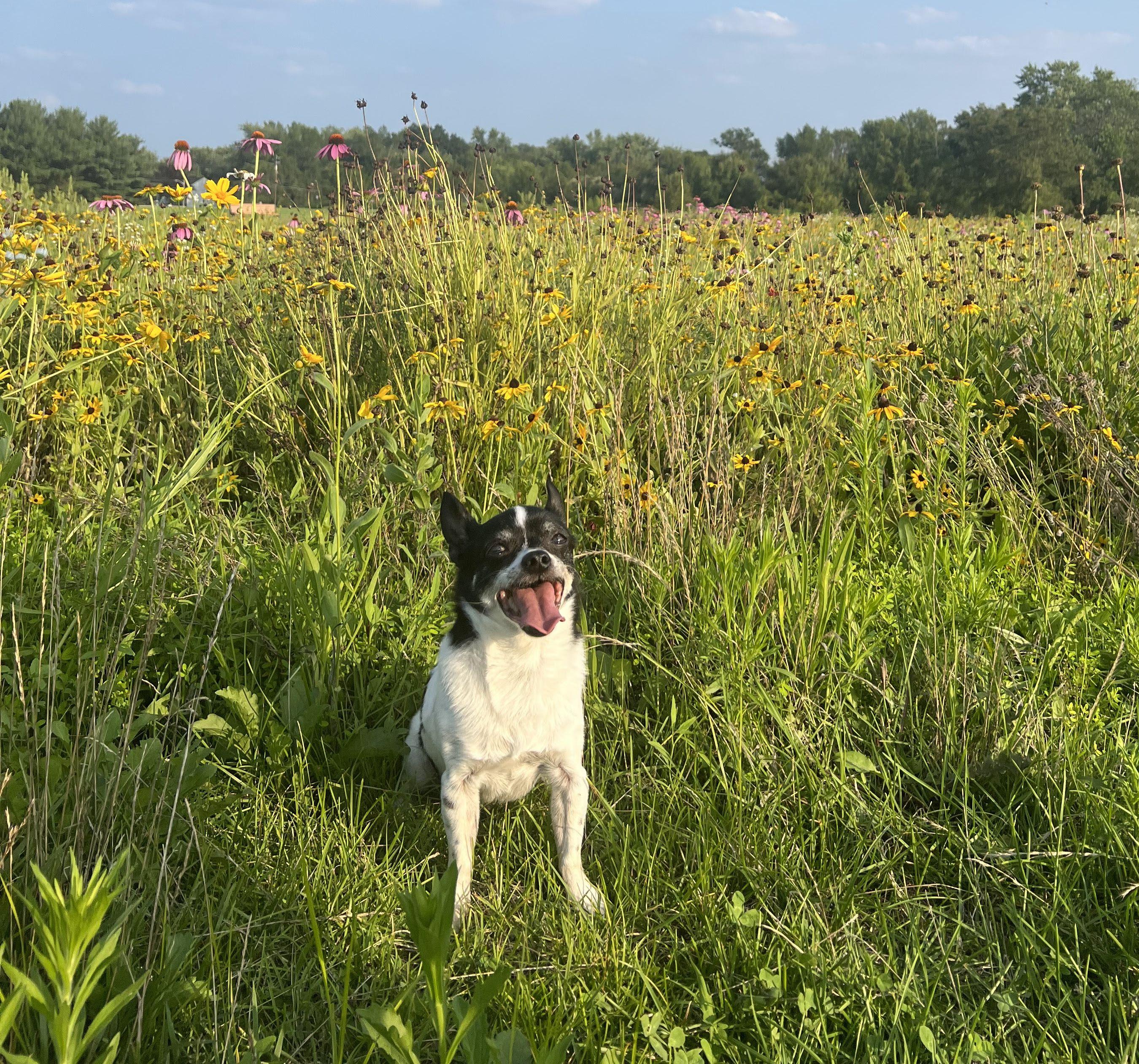 The Wedding Website of Melissa Arango and Joseph Solfaro