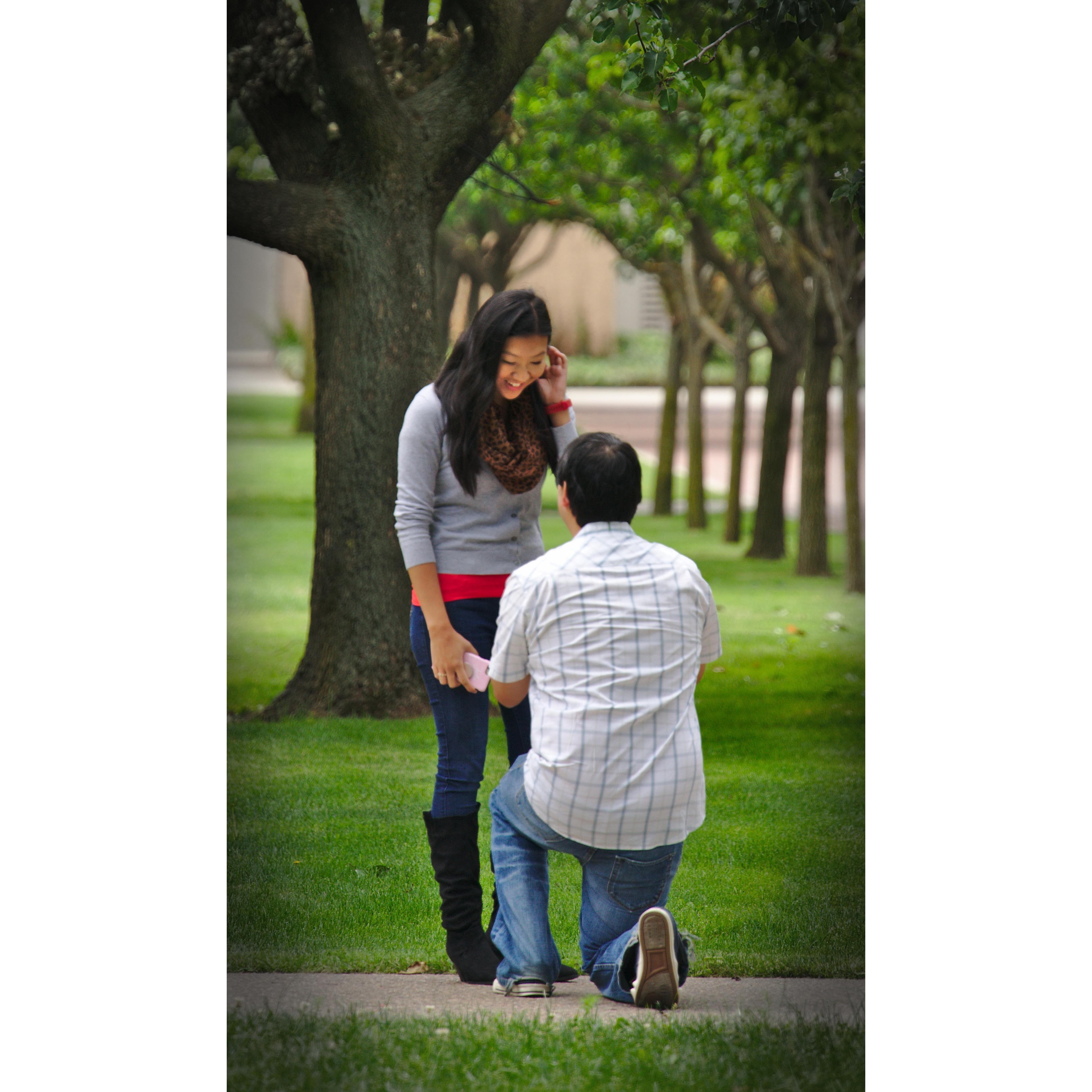 May 17, 2019 The Proposal