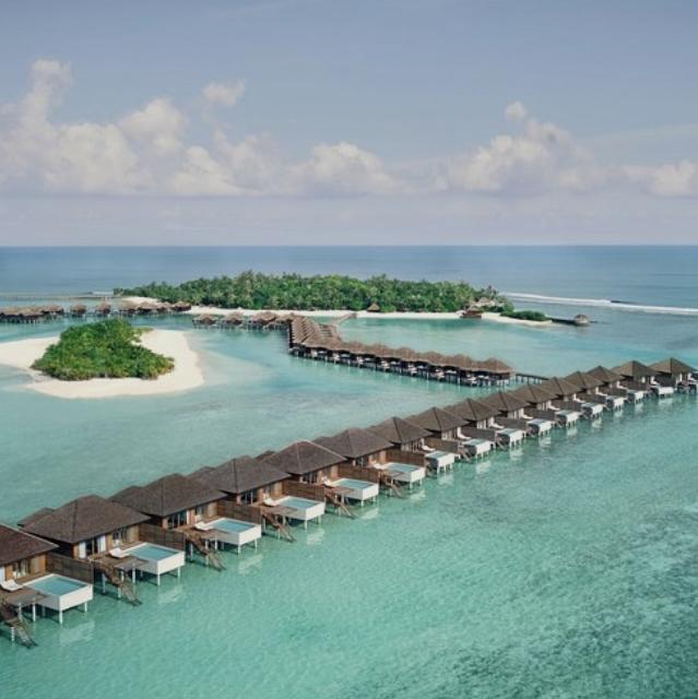 Honeymoon Fund