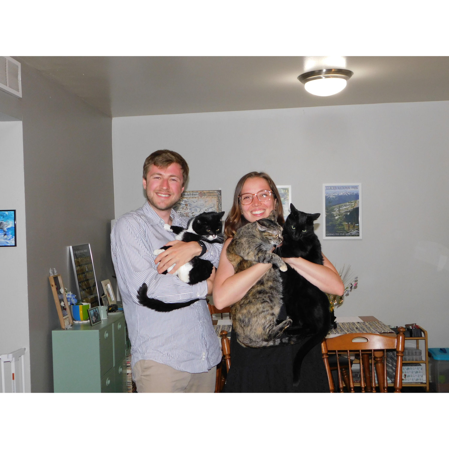 Ann Arbor, June 2023 - A rare moment of all 3 cats within a few feet radius