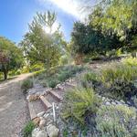 Conejo Valley Botanic Garden
