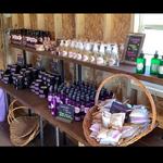 Romeo Lavender Farm