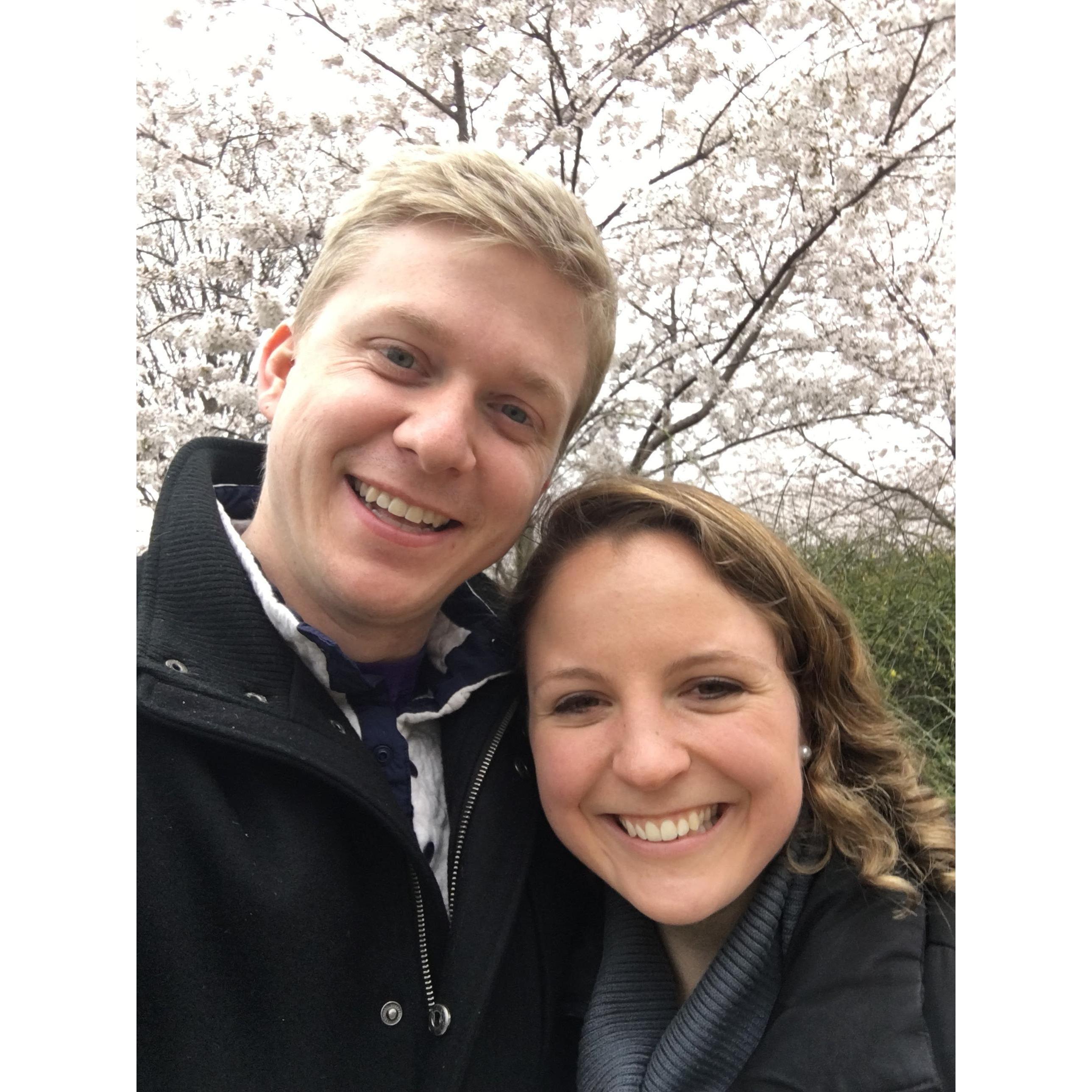 Cherry Blossom Festival in DC.