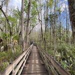 Six Mile Cypress Slough Preserve
