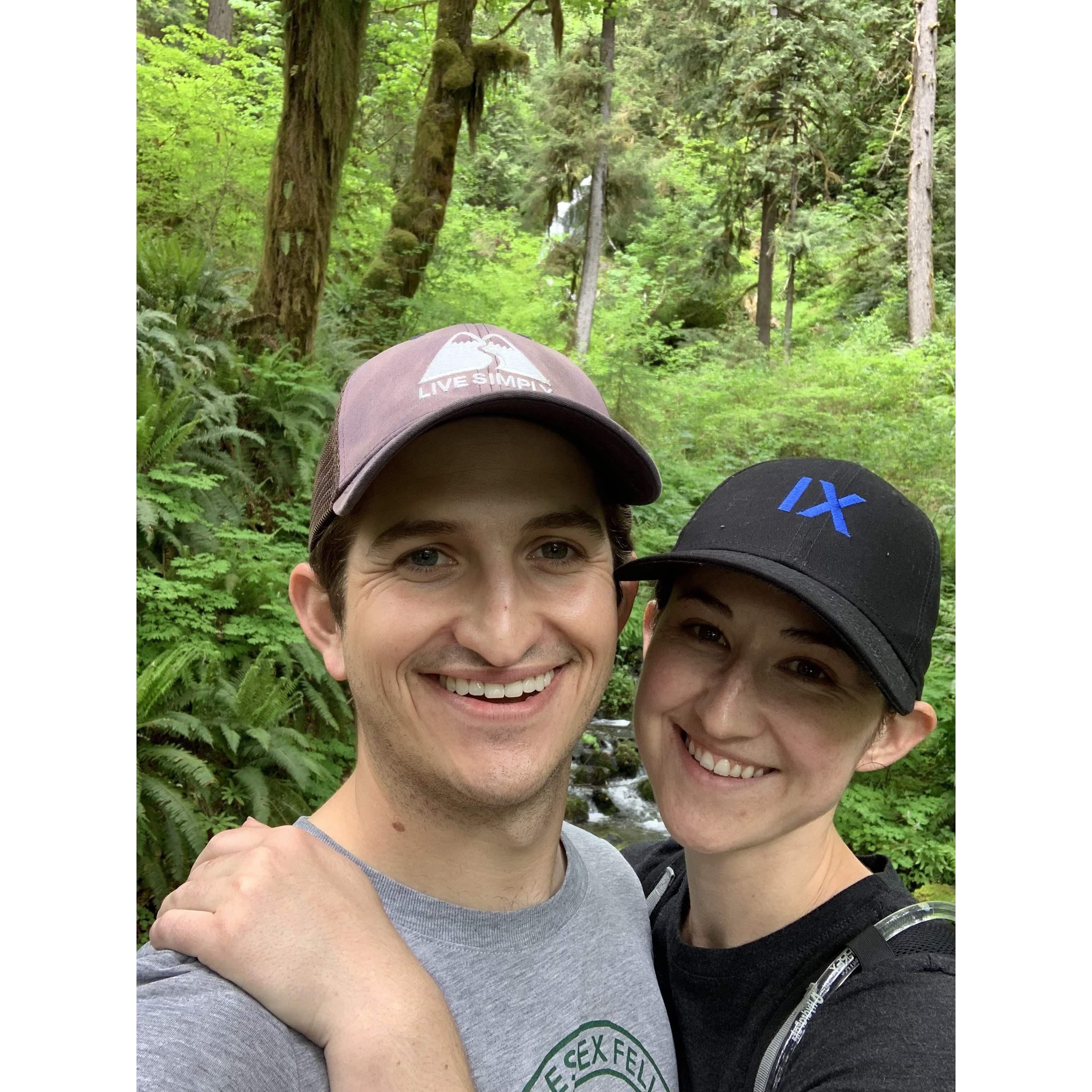 Rainforests do exist in North America