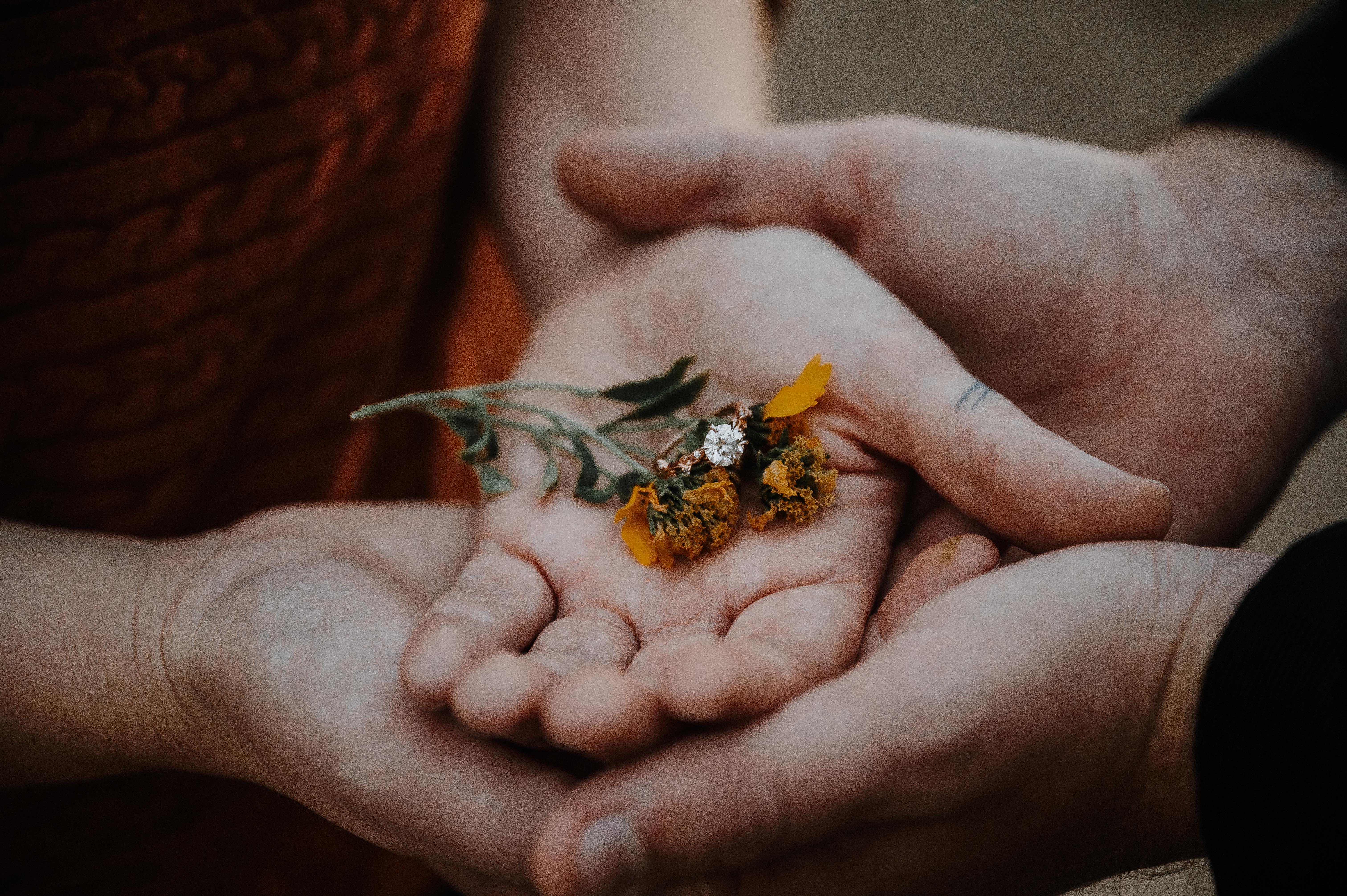 The Wedding Website of Julia Way and Morgan Cortes