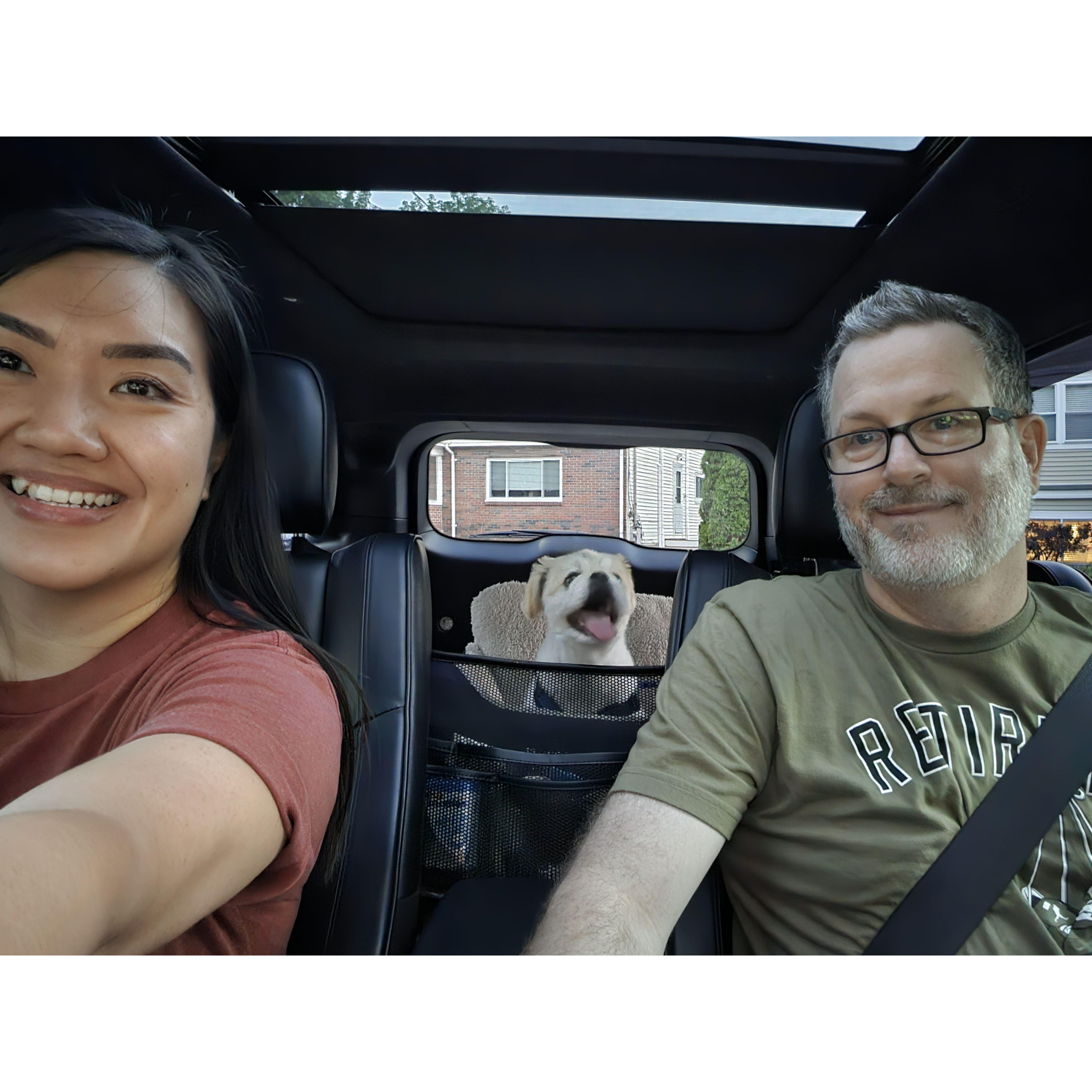 Kuma's happy face after a walk on the Charles