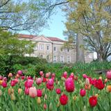 Cheekwood