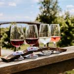 Seneca Lake Wine Trail