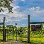 Deep Water Vineyard