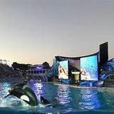 SeaWorld San Diego