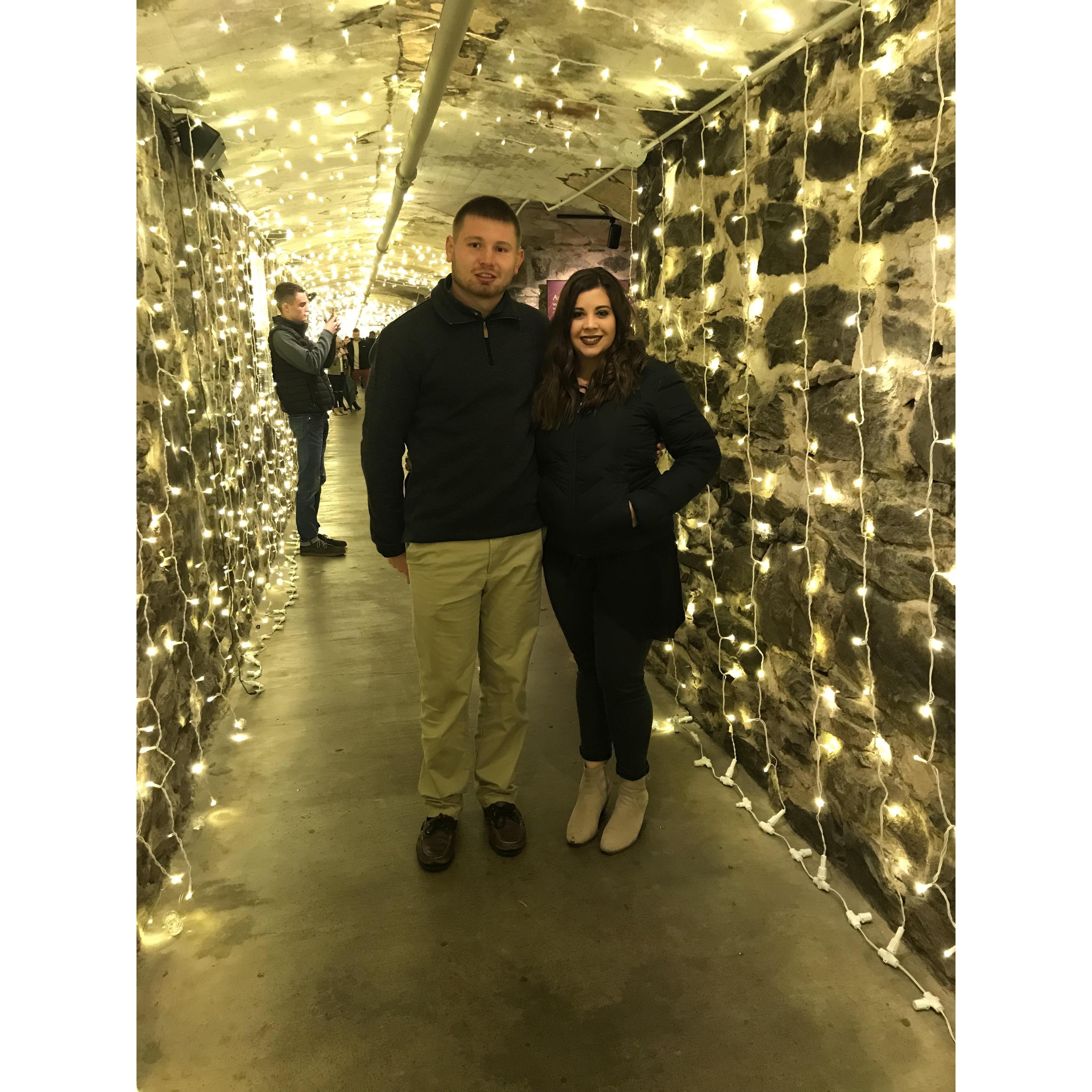 The Biltmore Estate, December 2019
