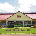Dole Plantation