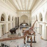 Field Museum