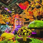 Bellagio Conservatory & Botanical Gardens