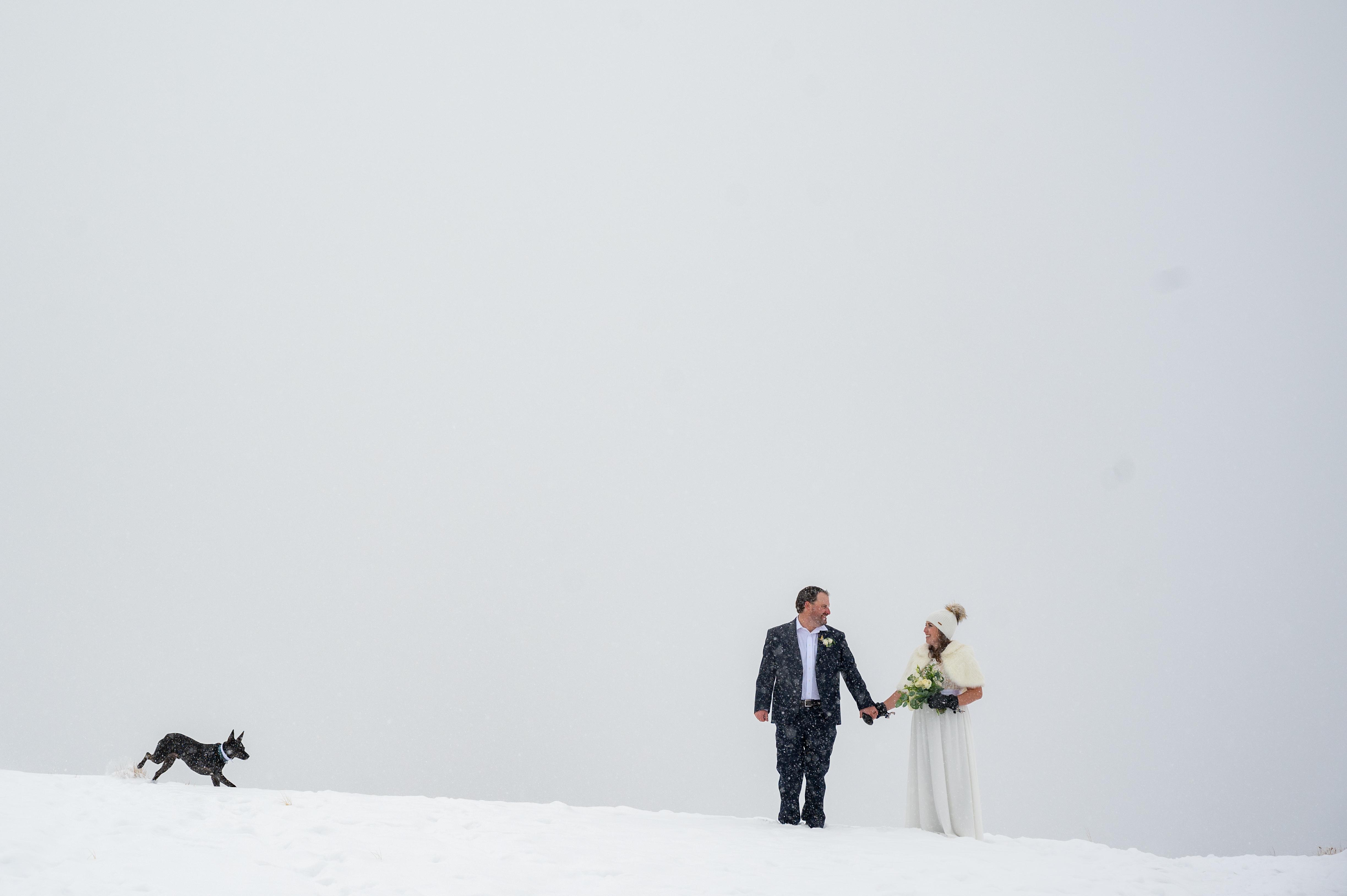 The Wedding Website of Caitlin De'Aeth and Colin De’Aeth