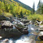 Hunter Creek Trail
