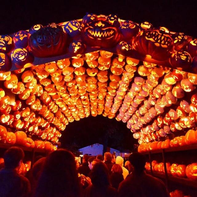 Great Pumpkin Blaze