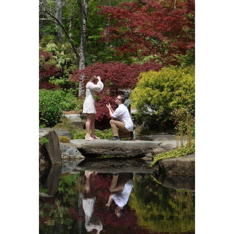 The big proposal day at Gibbs Gardens on 04/05/2025!