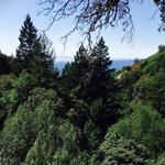 Castle Rock State Park