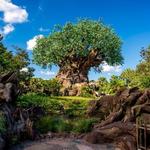 Disney's Animal Kingdom