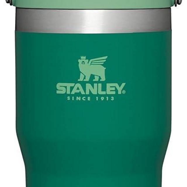 Stanley IceFlow Stainless Steel Tumbler with Straw - Vacuum Insulated Water Bottle for Home, Office or Car - Reusable Cup with Straw Leakproof Flip - Cold for 12 Hours or Iced for 2 Days (Alpine)