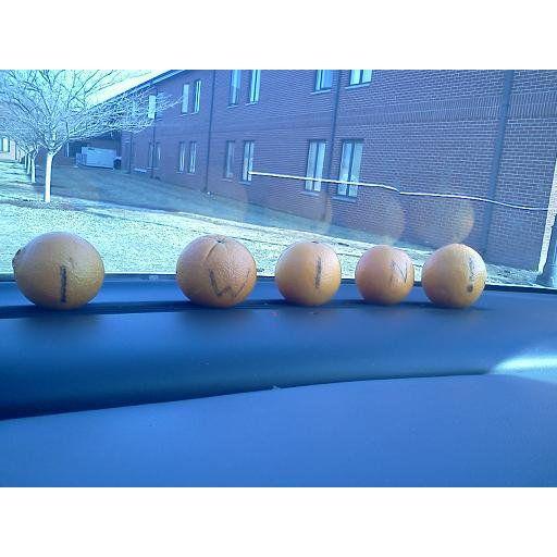 A prank I pulled on Nate in college where I filled his car with oranges...it was excessive. And has been a running joke ever since.