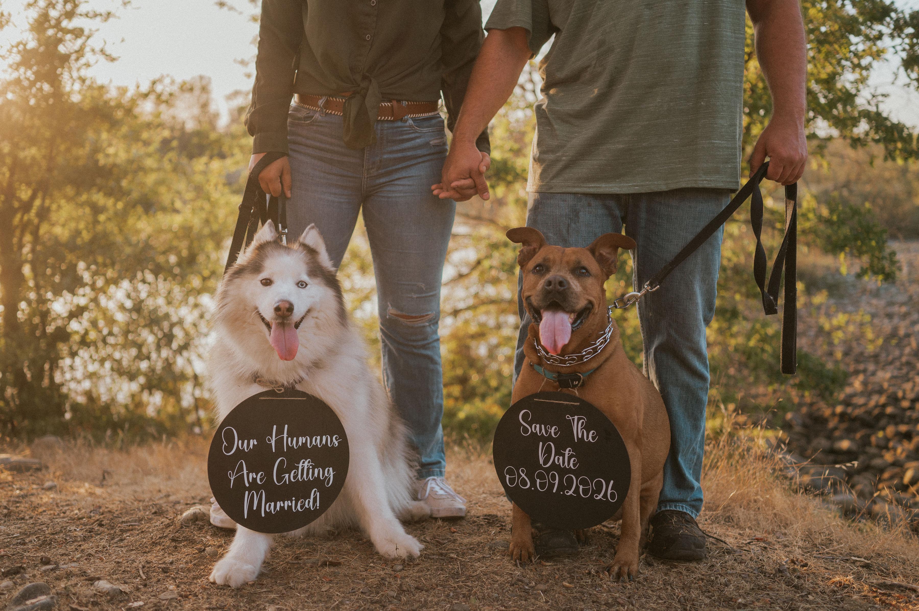 The Wedding Website of Shelby Gross and Caleb Keller