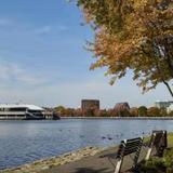 Dow's Lake