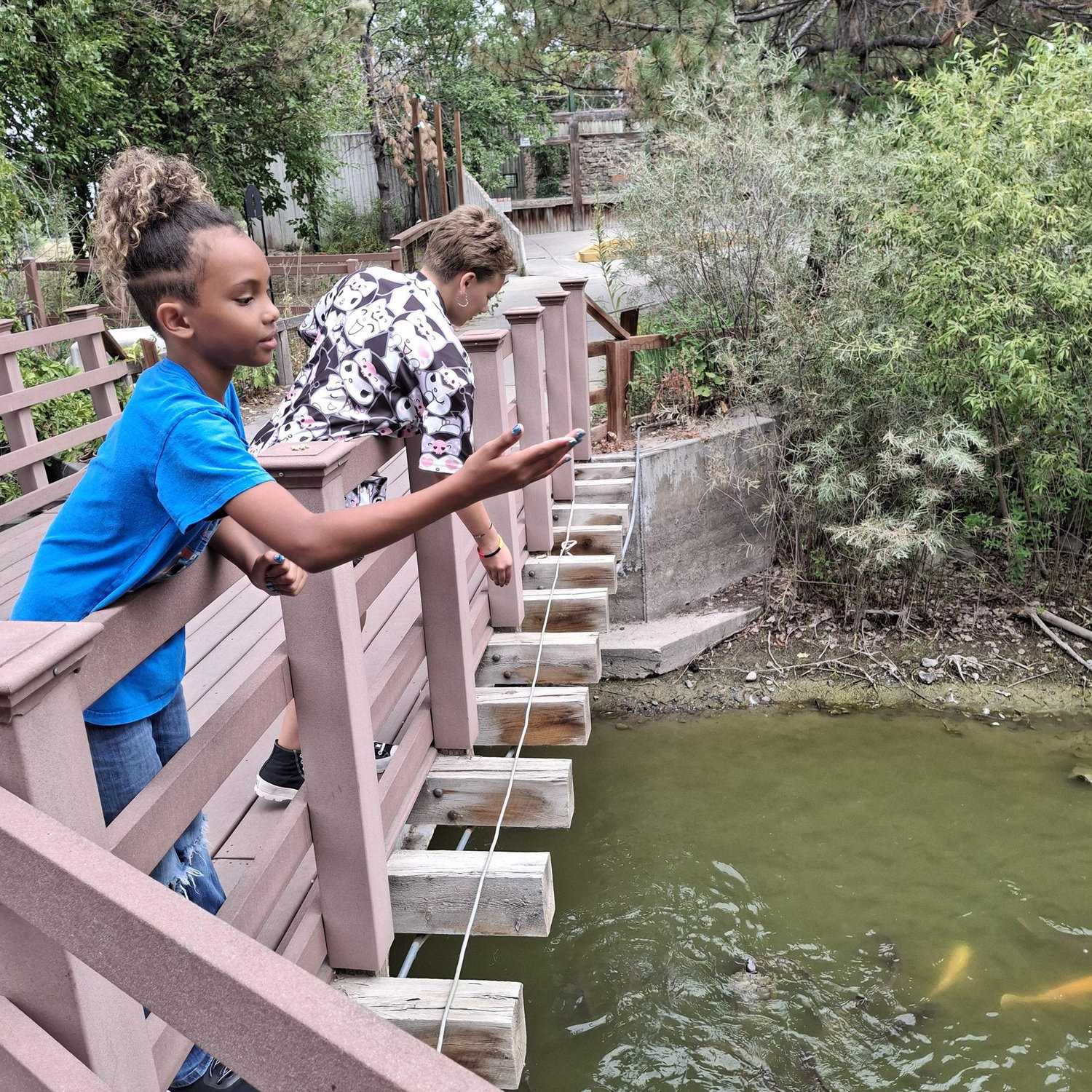Zoo trip