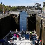 Ballard Locks Fish Ladder