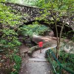 Schenley Park