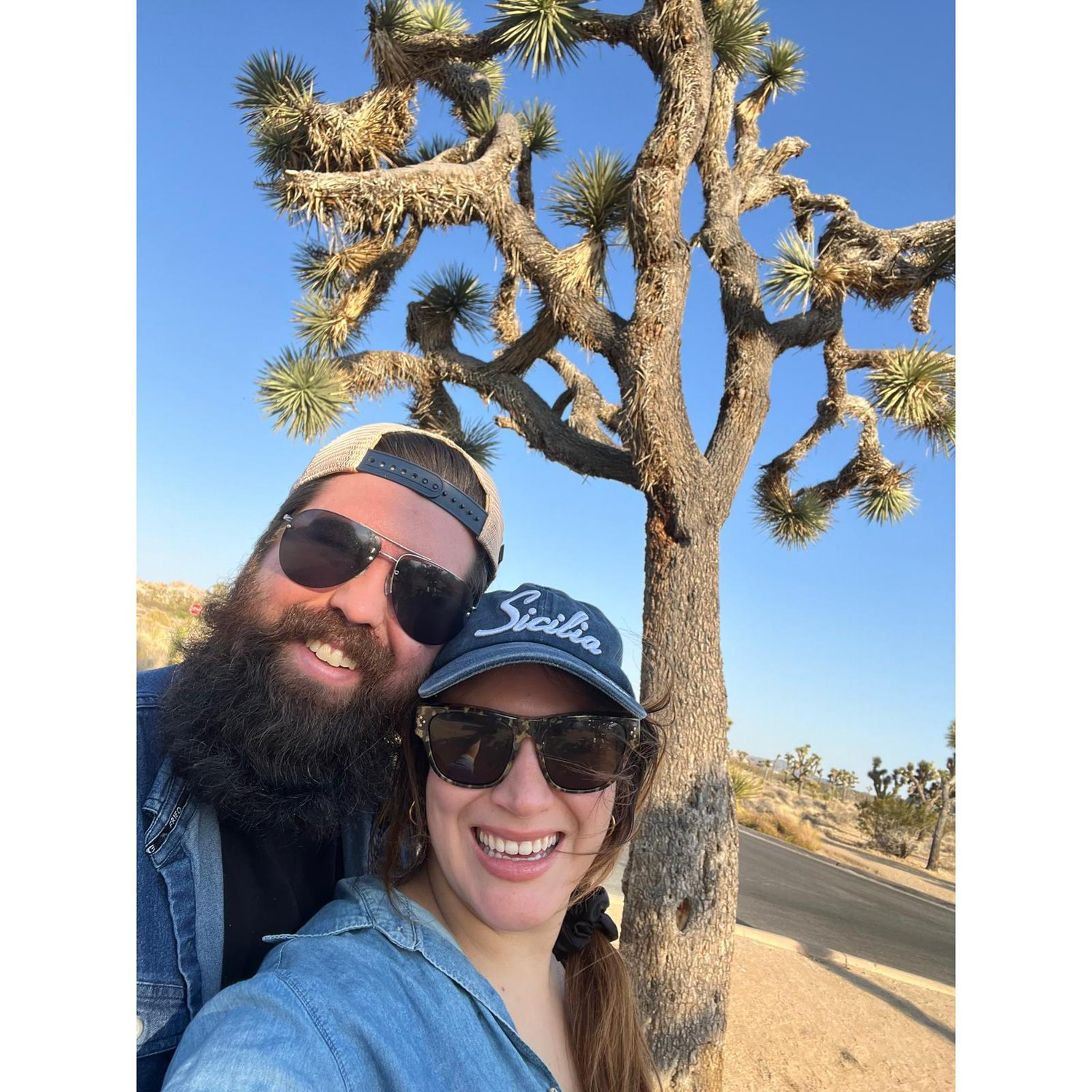 Joshua Tree, CA in 2024