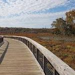 Potomac Heritage National Scenic Trail Neabsco Creek Boardwalk