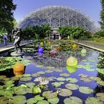 Missouri Botanical Garden