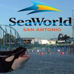 SeaWorld Drive