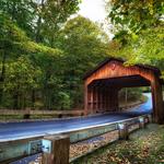 Pierce Stocking Scenic Drive