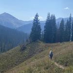 Trail 401