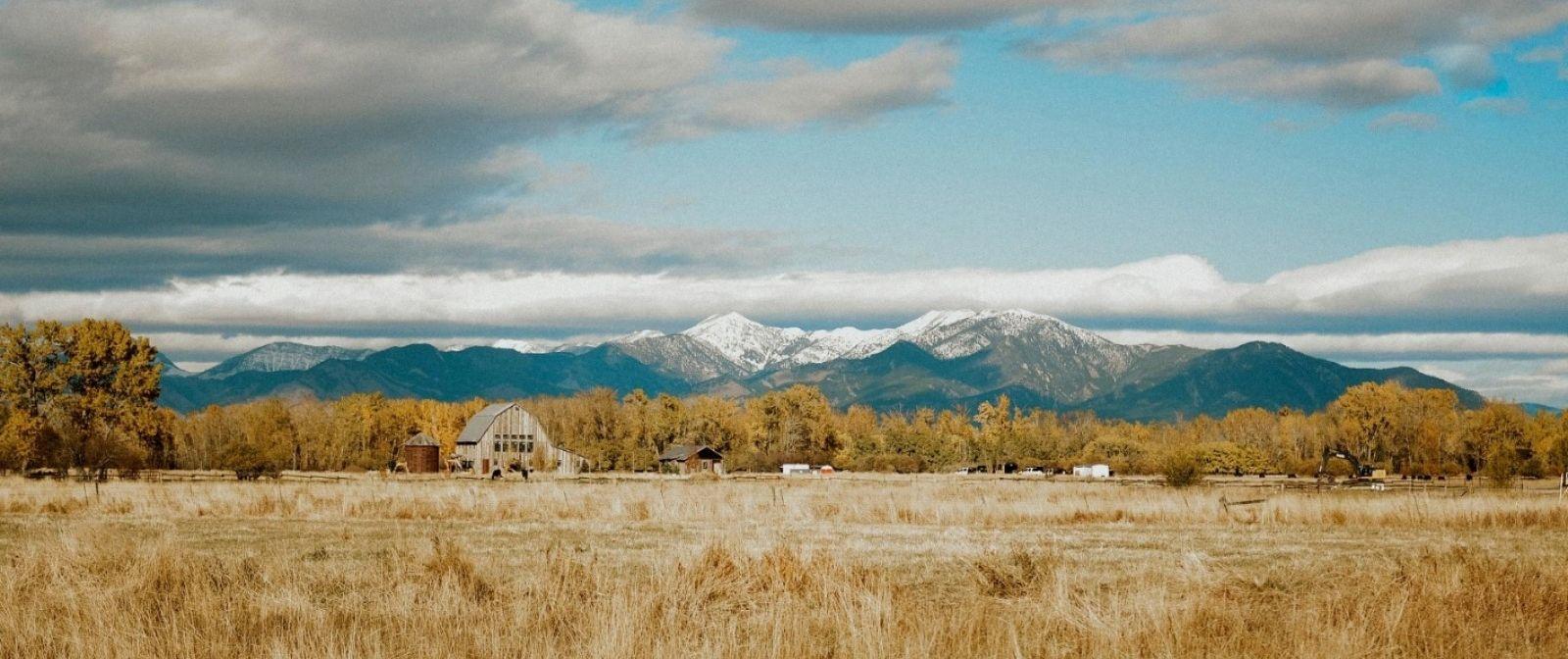 The Wedding Website of Forest Ledger and Sofia Shomento