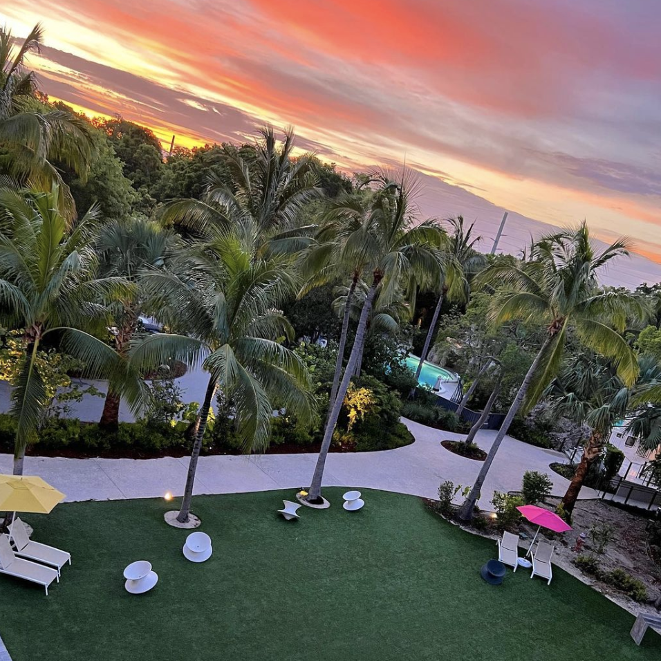 Bens Garden, lots of activities take place here (movie night, dodge ball, foam parties) - Hammock Wing