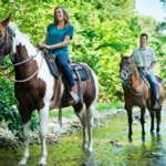 Horseback Riding