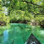 Weeki Wachee River