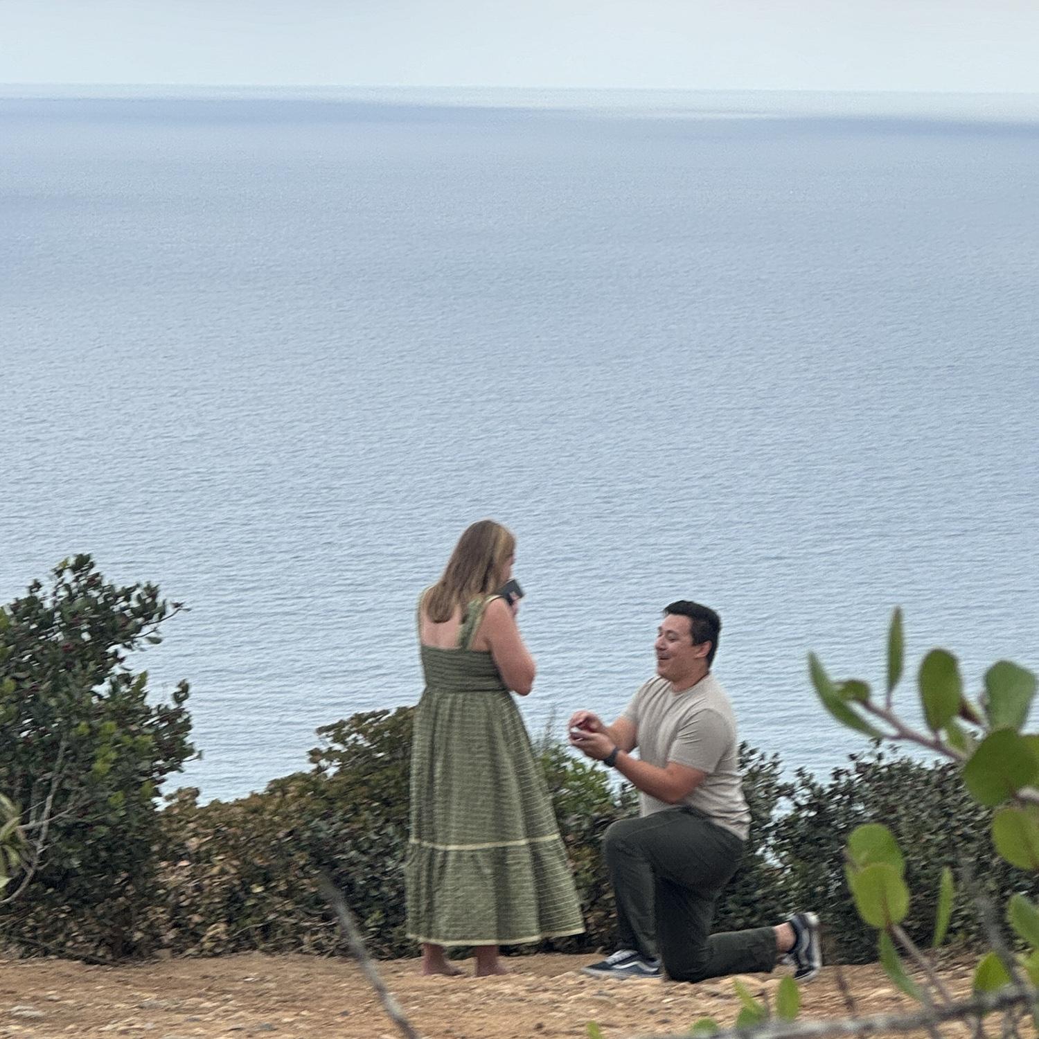 The proposal! (Sept 2024)