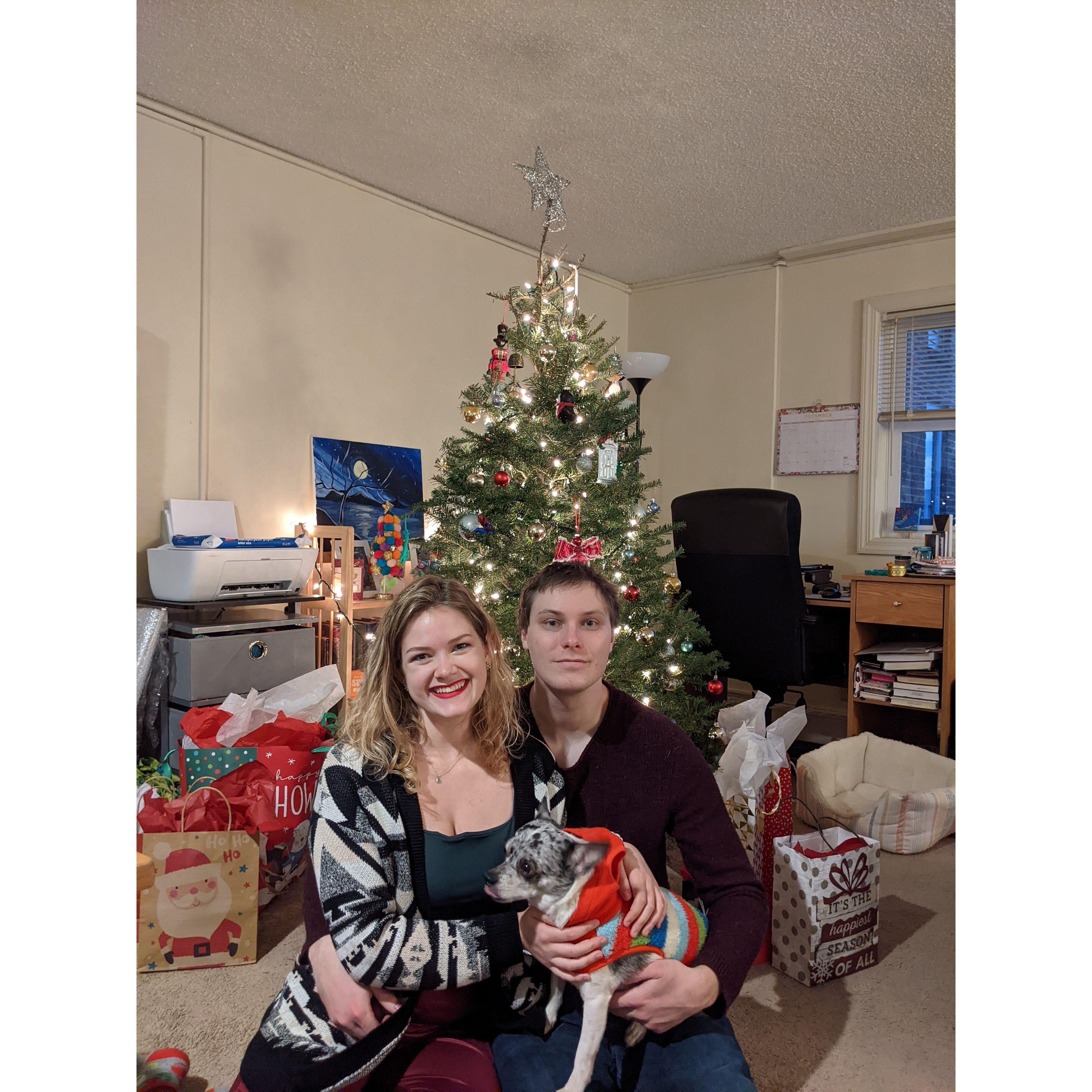 Our first Christmas tree!