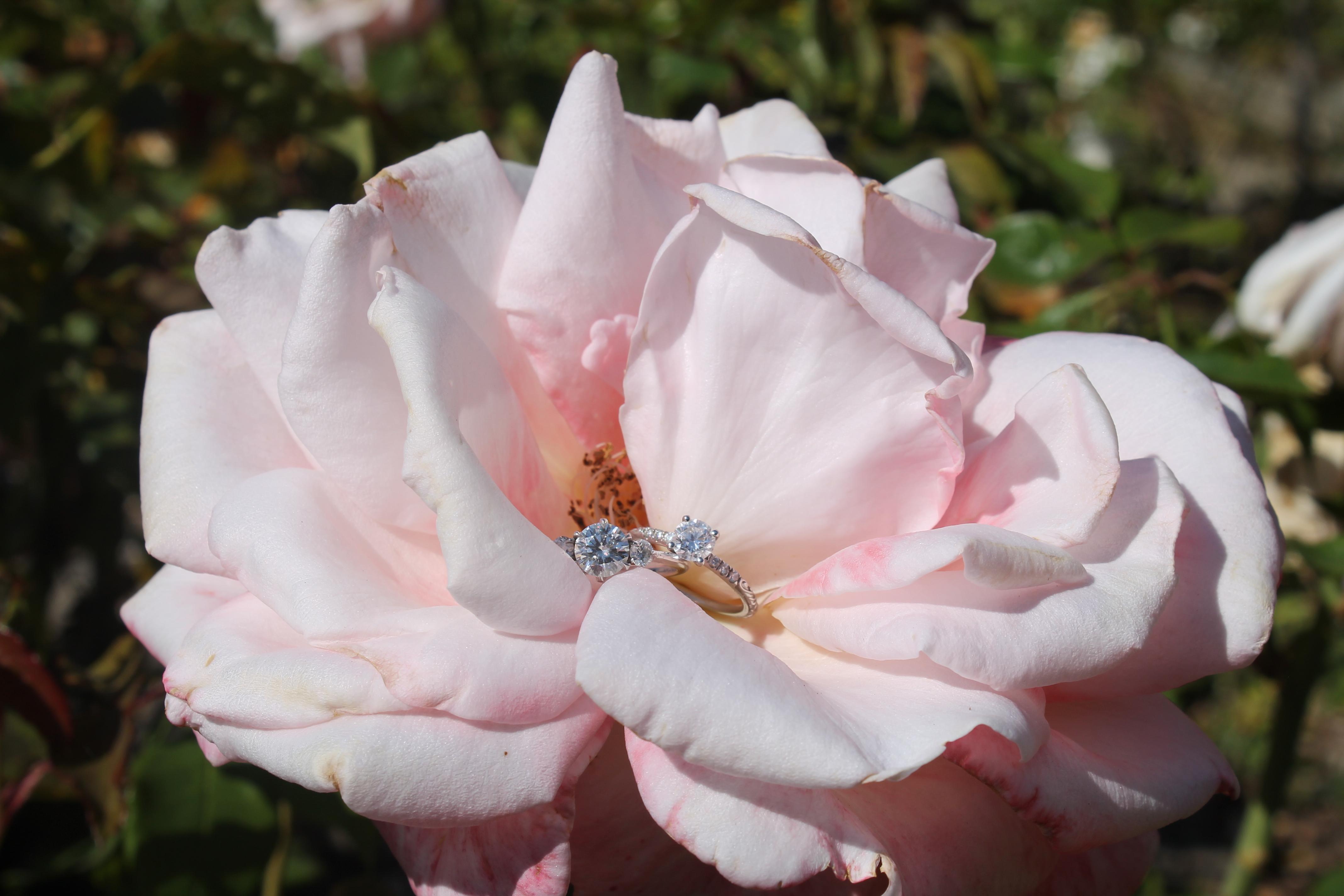 The Wedding Website of Rahel Baskind and Tayler Knight