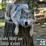 Colorado Wolf and Wildlife Center