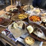 Bellofri Farm - Ein Nashut Winery